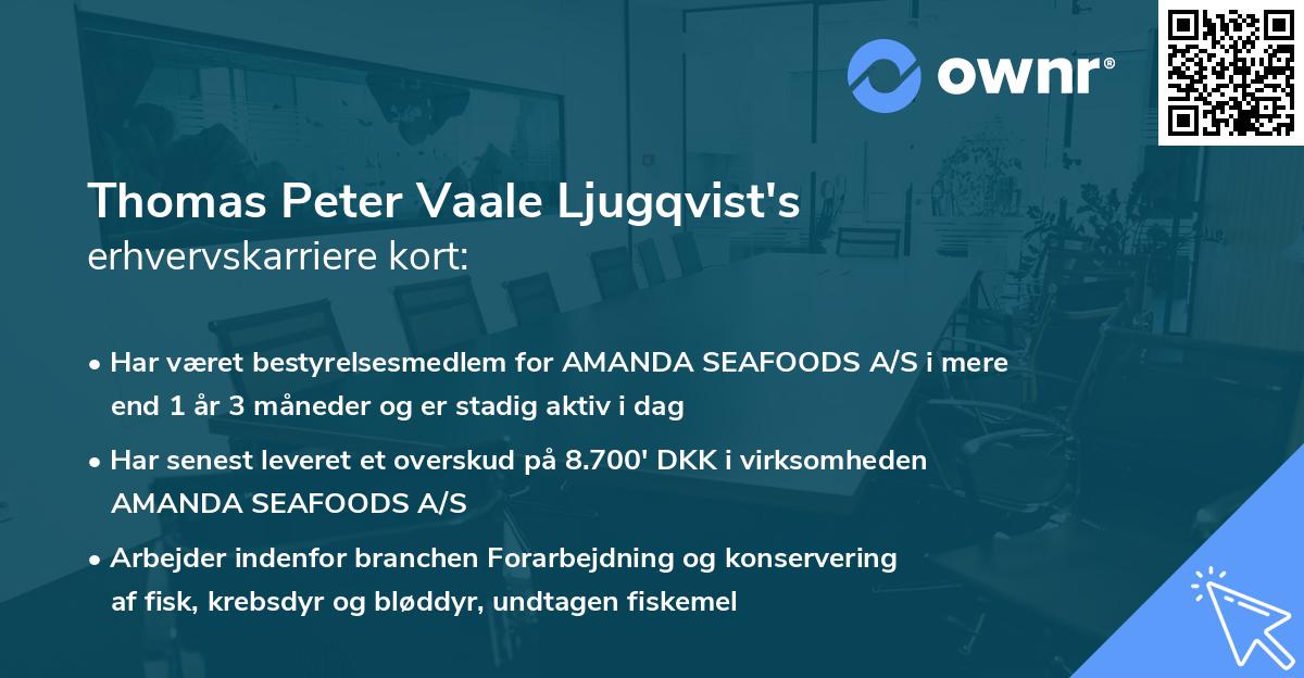 Thomas Peter Vaale Ljugqvist's erhvervskarriere kort
