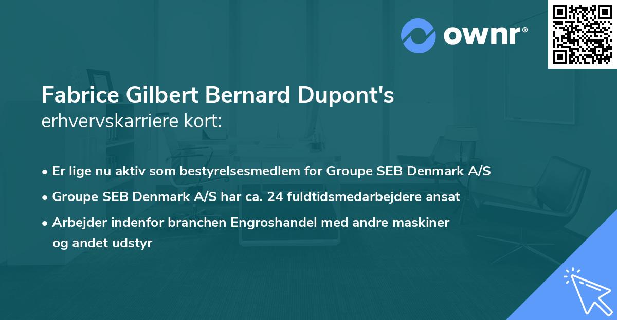 Fabrice Gilbert Bernard Dupont's erhvervskarriere kort