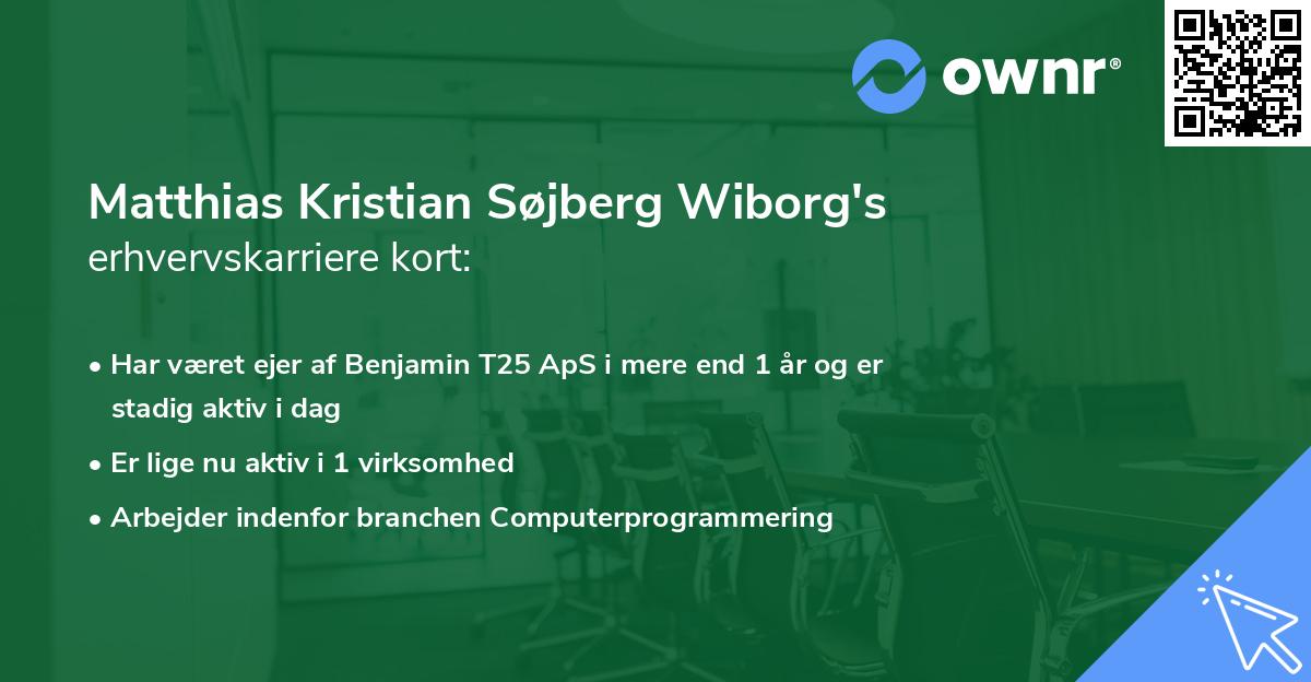 Matthias Kristian Søjberg Wiborg's erhvervskarriere kort
