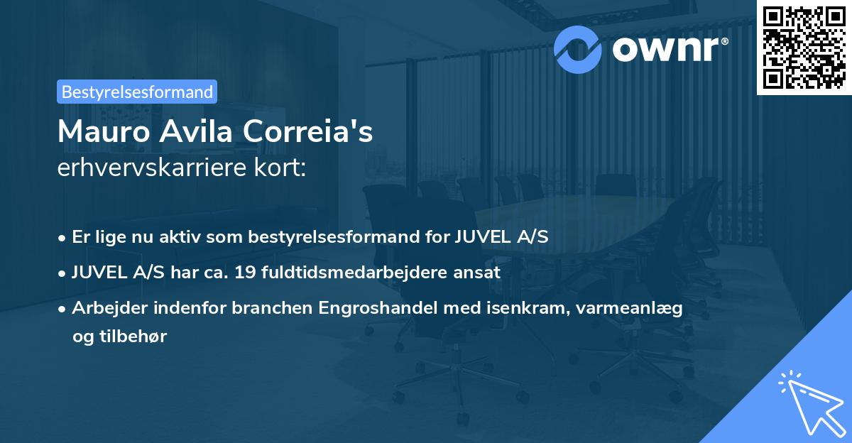 Mauro Avila Correia's erhvervskarriere kort
