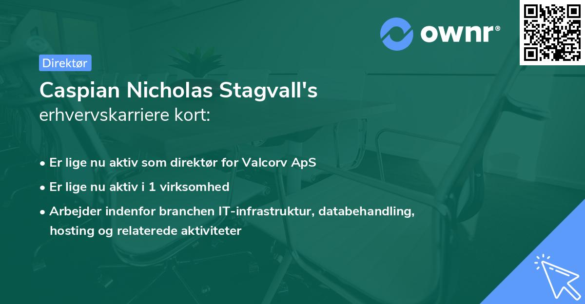Caspian Nicholas Stagvall's erhvervskarriere kort