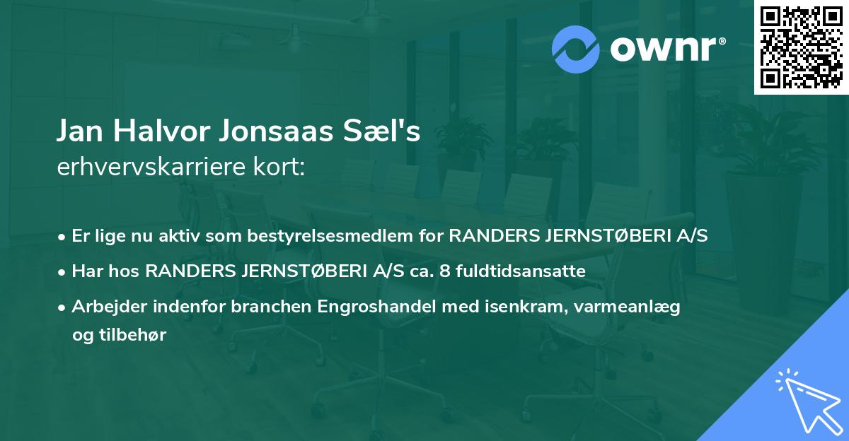 Jan Halvor Jonsaas Sæl's erhvervskarriere kort