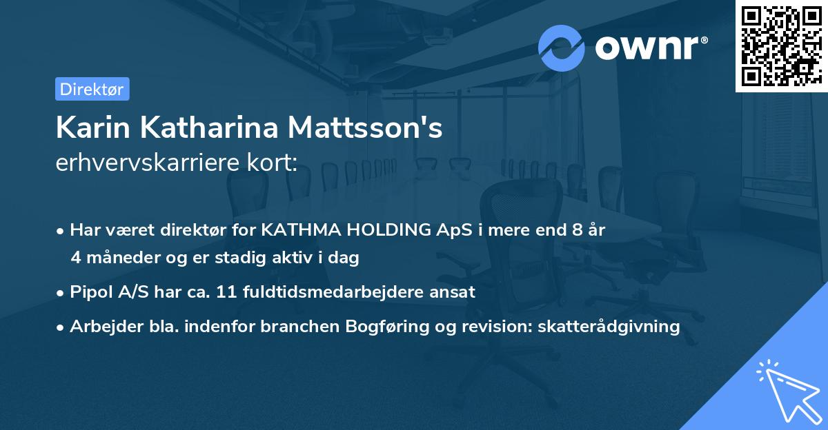 Karin Katharina Mattsson's erhvervskarriere kort