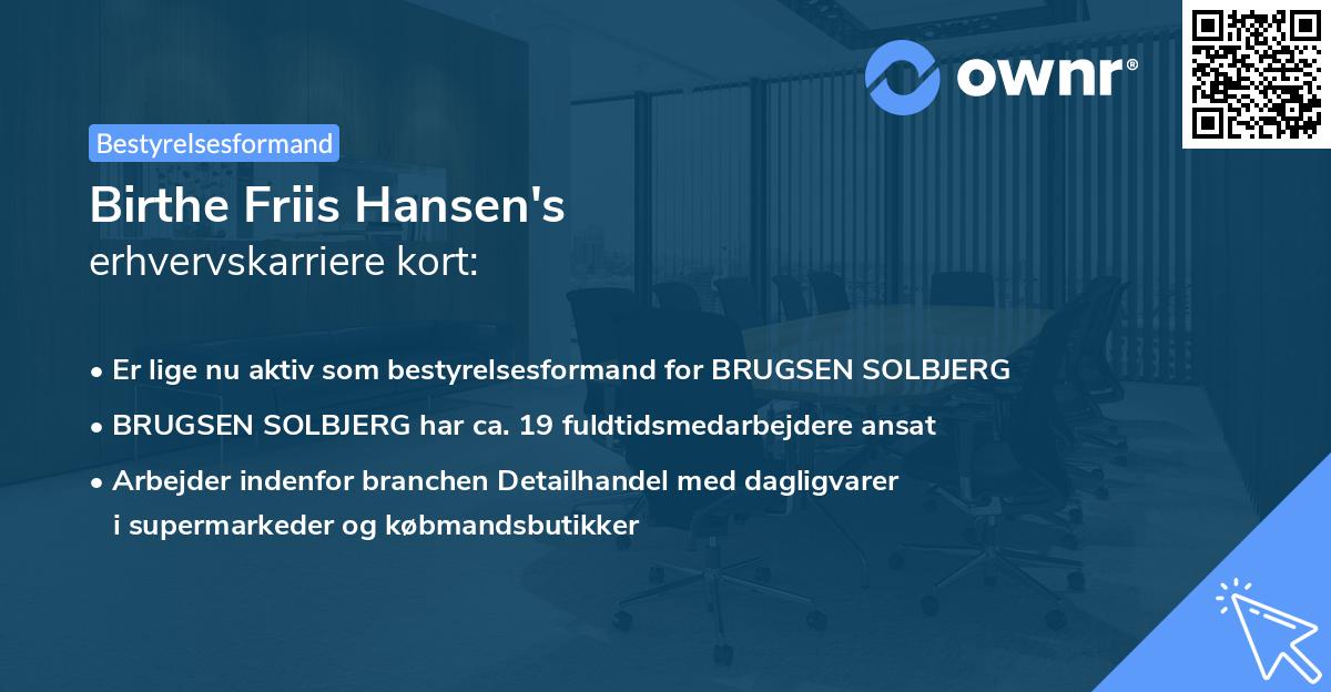 Birthe Friis Hansen's erhvervskarriere kort