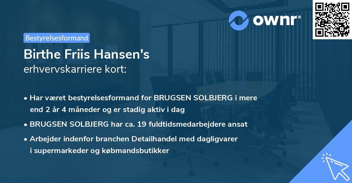 Birthe Friis Hansen's erhvervskarriere kort