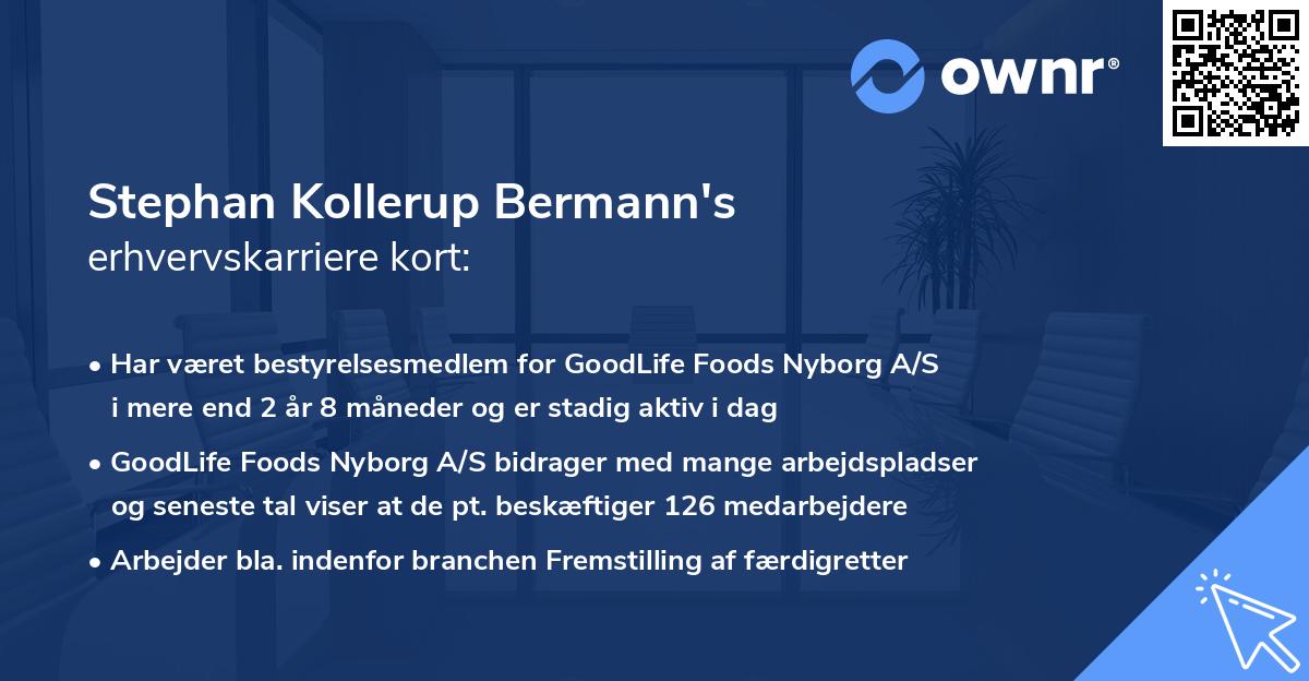 Stephan Kollerup Bermann's erhvervskarriere kort