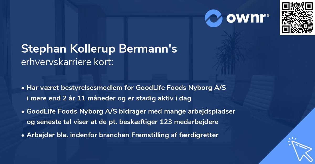 Stephan Kollerup Bermann's erhvervskarriere kort