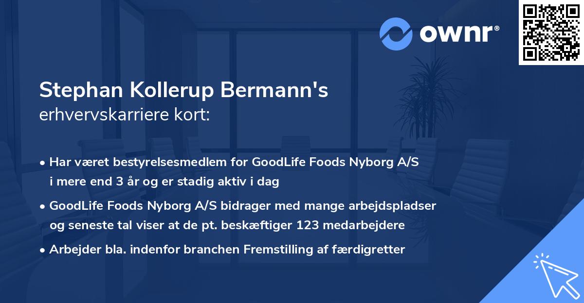 Stephan Kollerup Bermann's erhvervskarriere kort