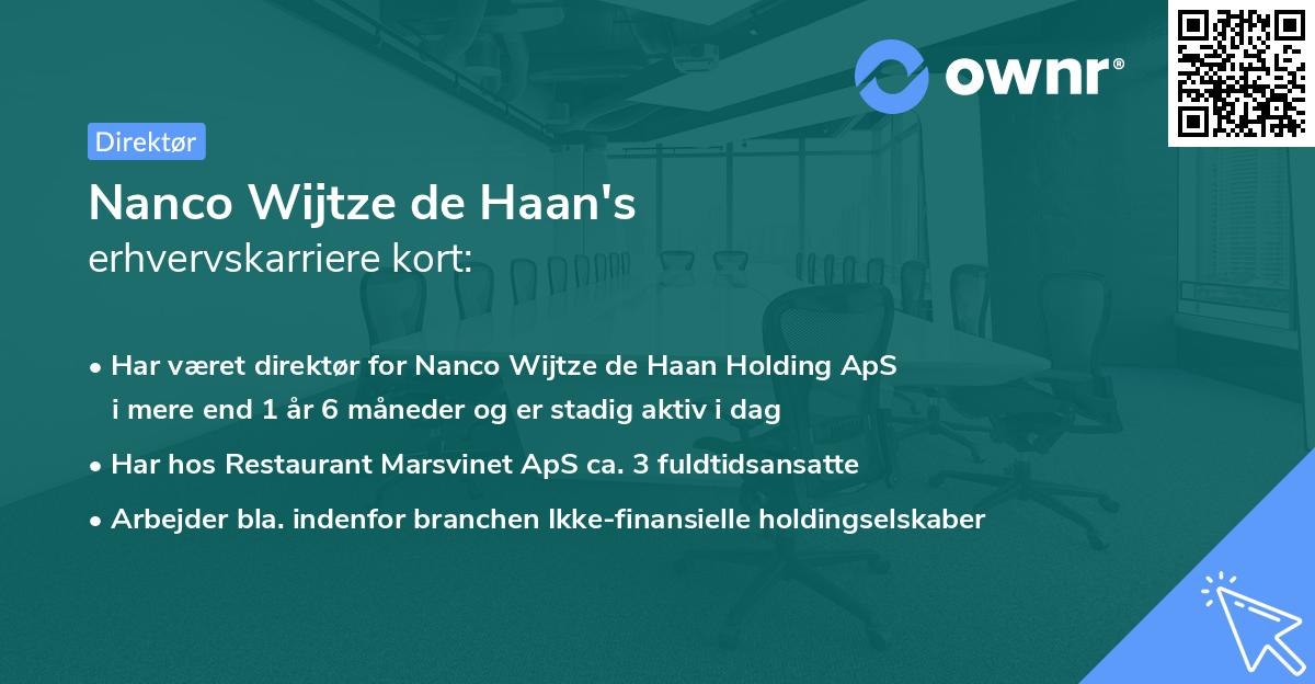 Nanco Wijtze de Haan's erhvervskarriere kort