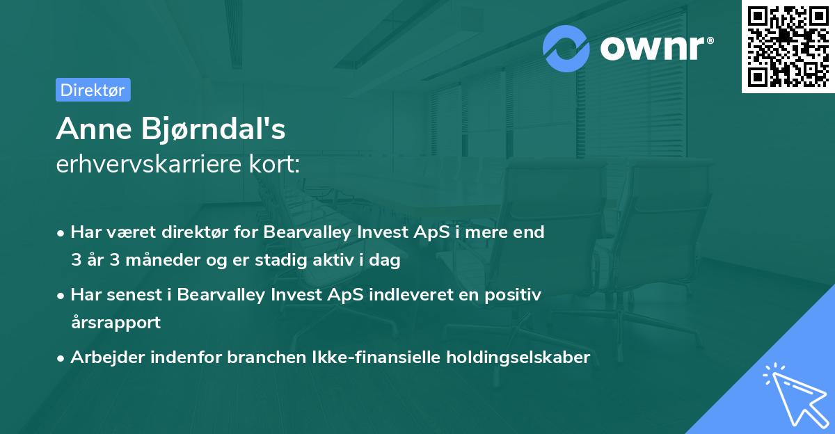 Anne Bjørndal's erhvervskarriere kort