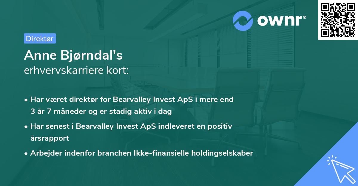 Anne Bjørndal's erhvervskarriere kort