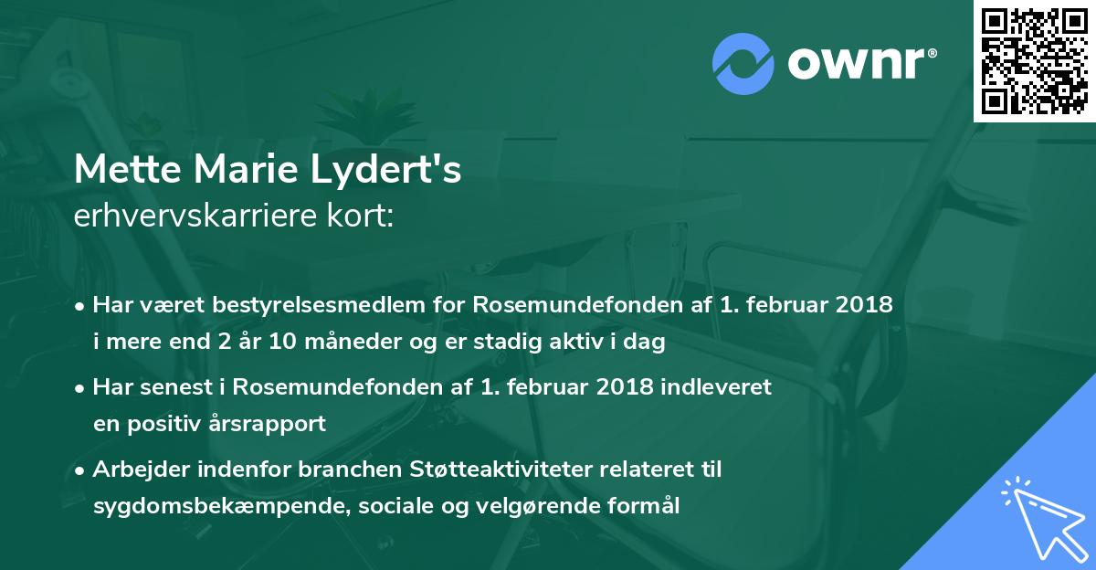 Mette Marie Lydert's erhvervskarriere kort