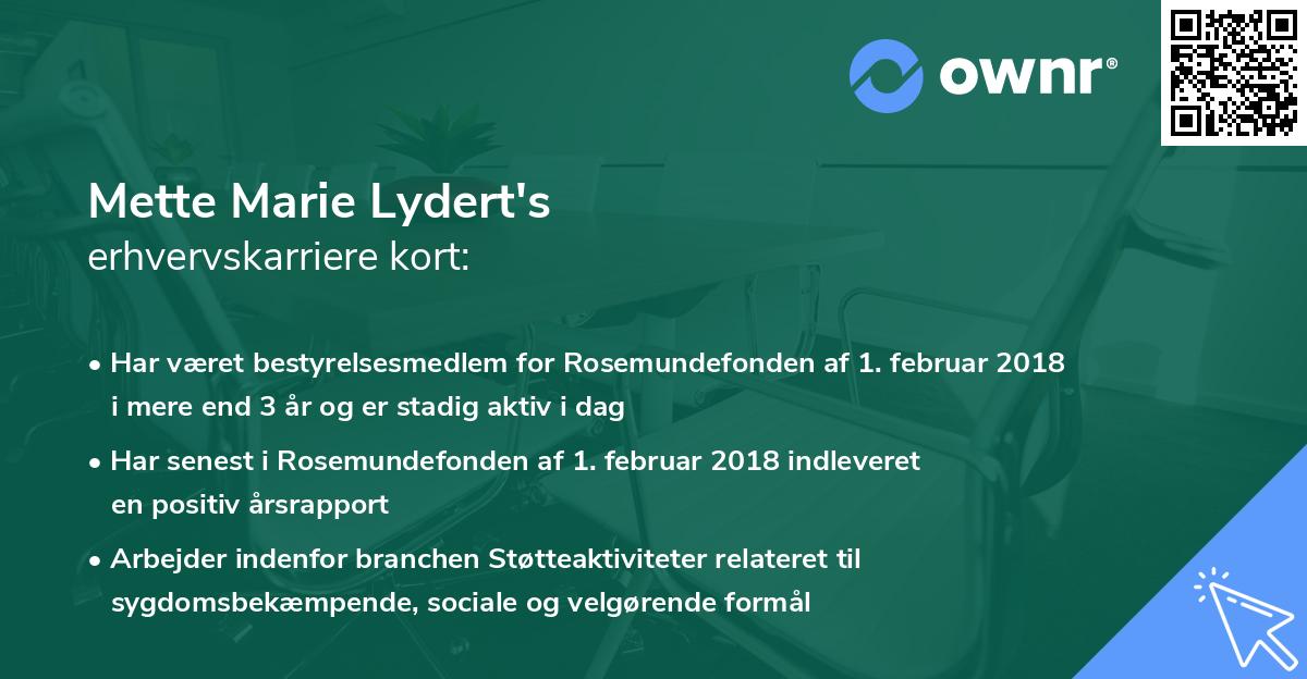 Mette Marie Lydert's erhvervskarriere kort