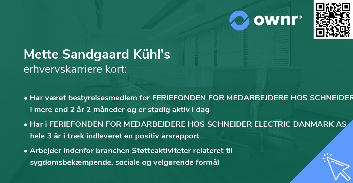 Mette Sandgaard Kühl's erhvervskarriere kort