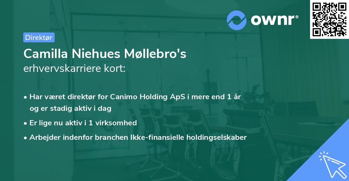 Camilla Niehues Møllebro's erhvervskarriere kort