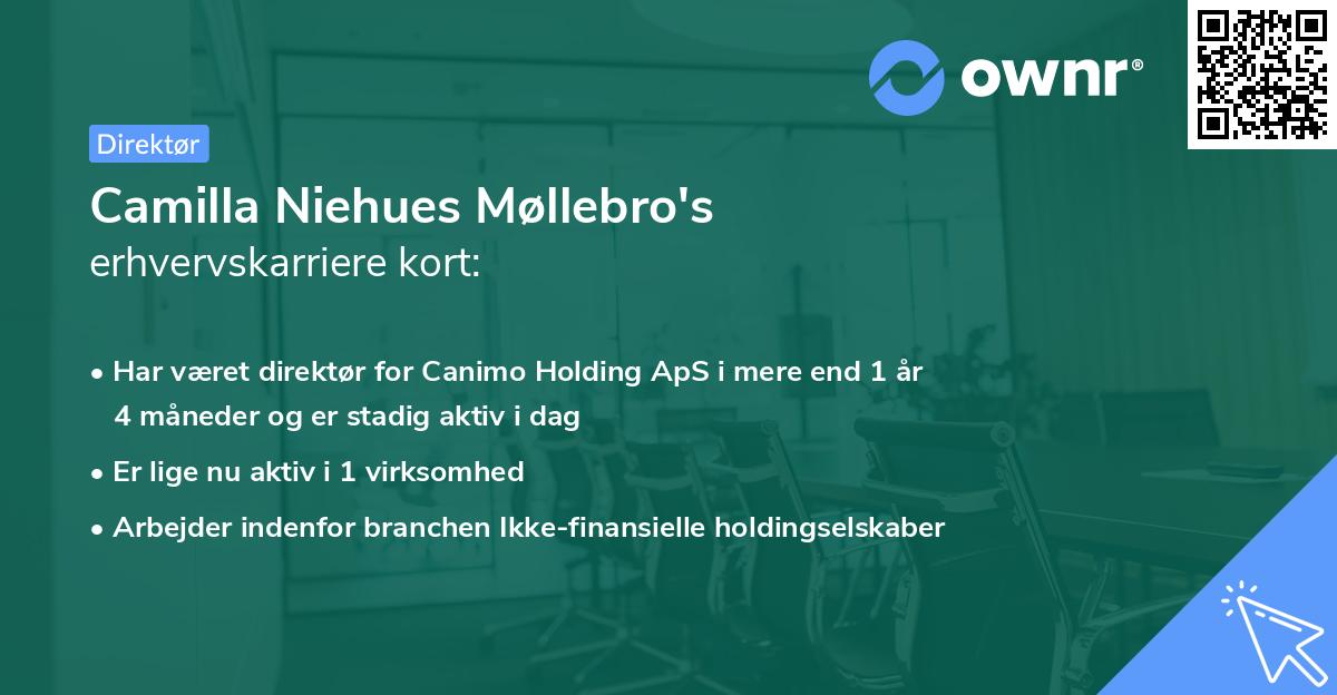 Camilla Niehues Møllebro's erhvervskarriere kort