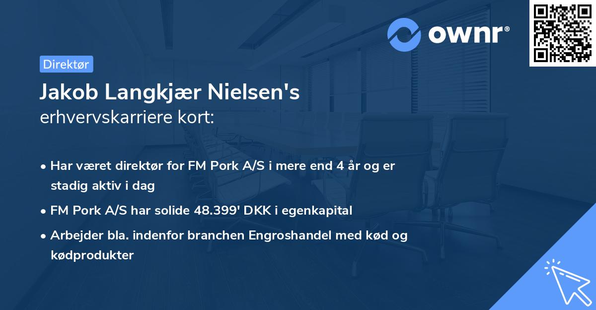 Jakob Langkjær Nielsen's erhvervskarriere kort