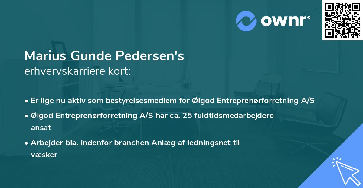 Marius Gunde Pedersen's erhvervskarriere kort