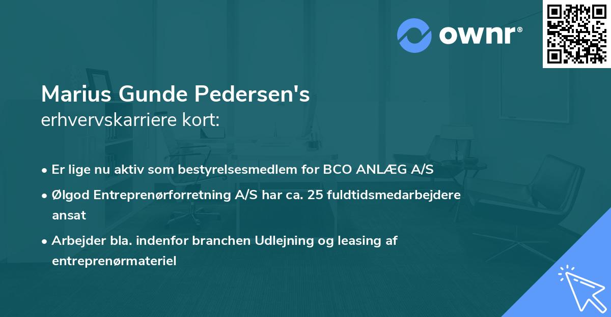 Marius Gunde Pedersen's erhvervskarriere kort