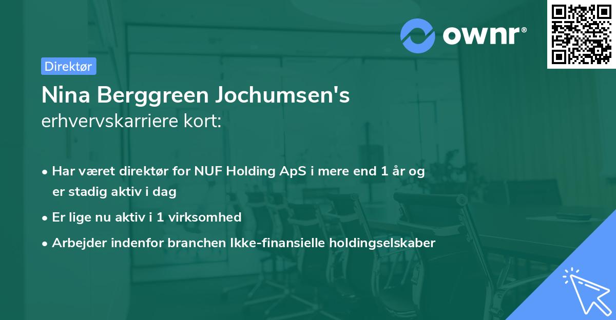 Nina Berggreen Jochumsen's erhvervskarriere kort