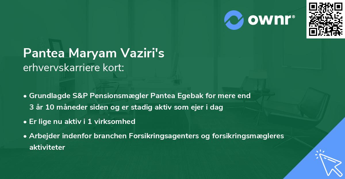 Pantea Maryam Vaziri's erhvervskarriere kort