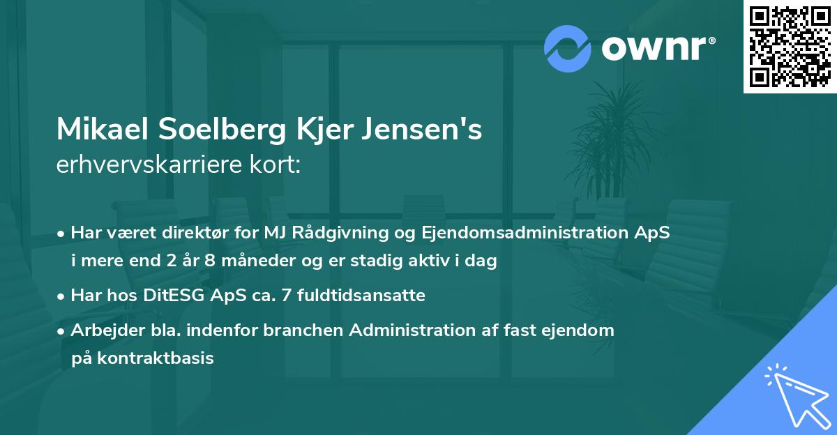 Mikael Soelberg Kjer Jensen's erhvervskarriere kort