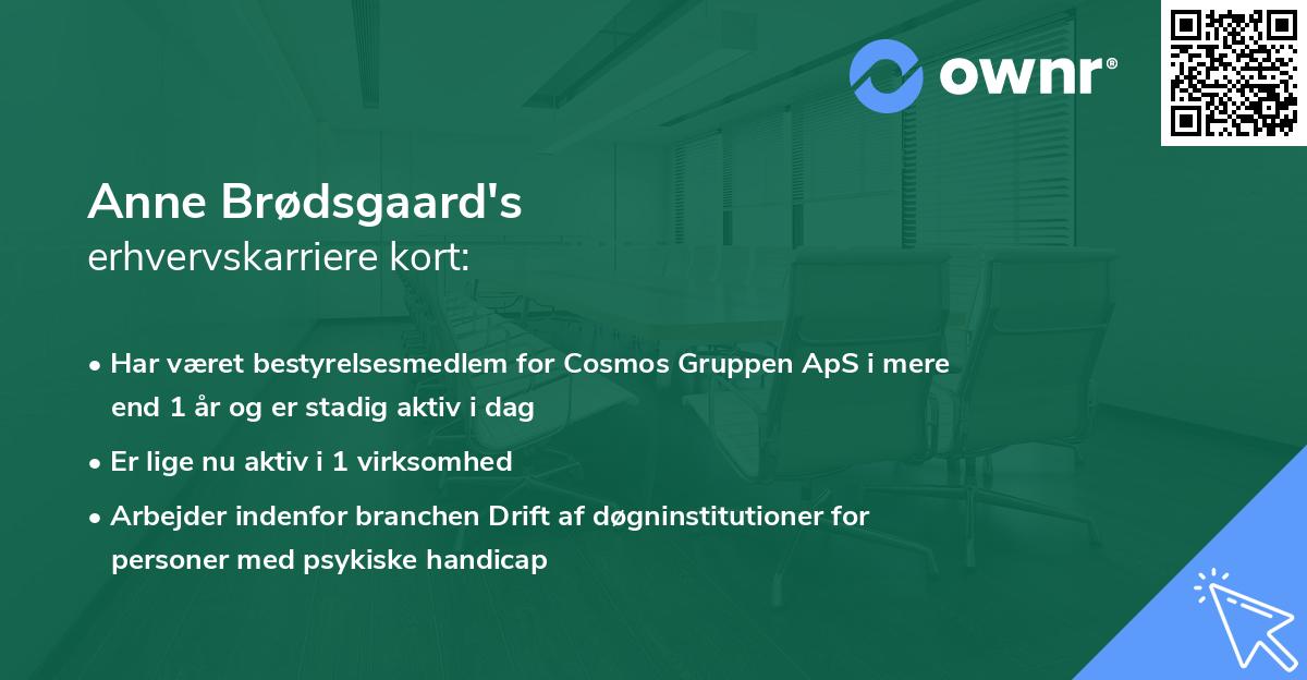 Anne Brødsgaard's erhvervskarriere kort