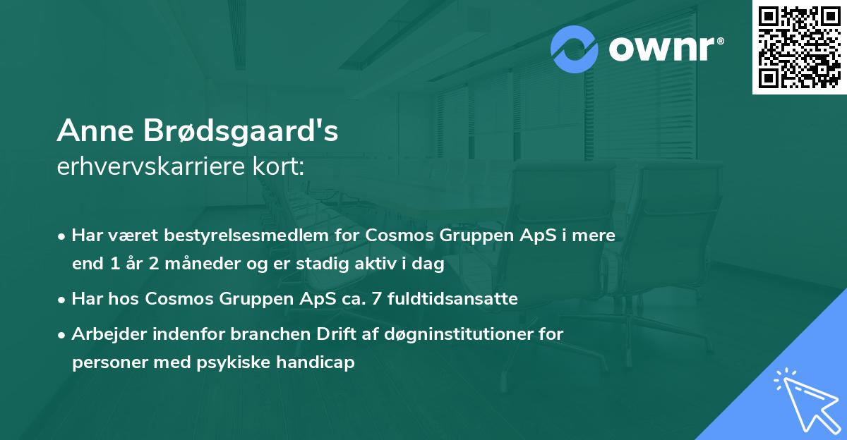Anne Brødsgaard's erhvervskarriere kort