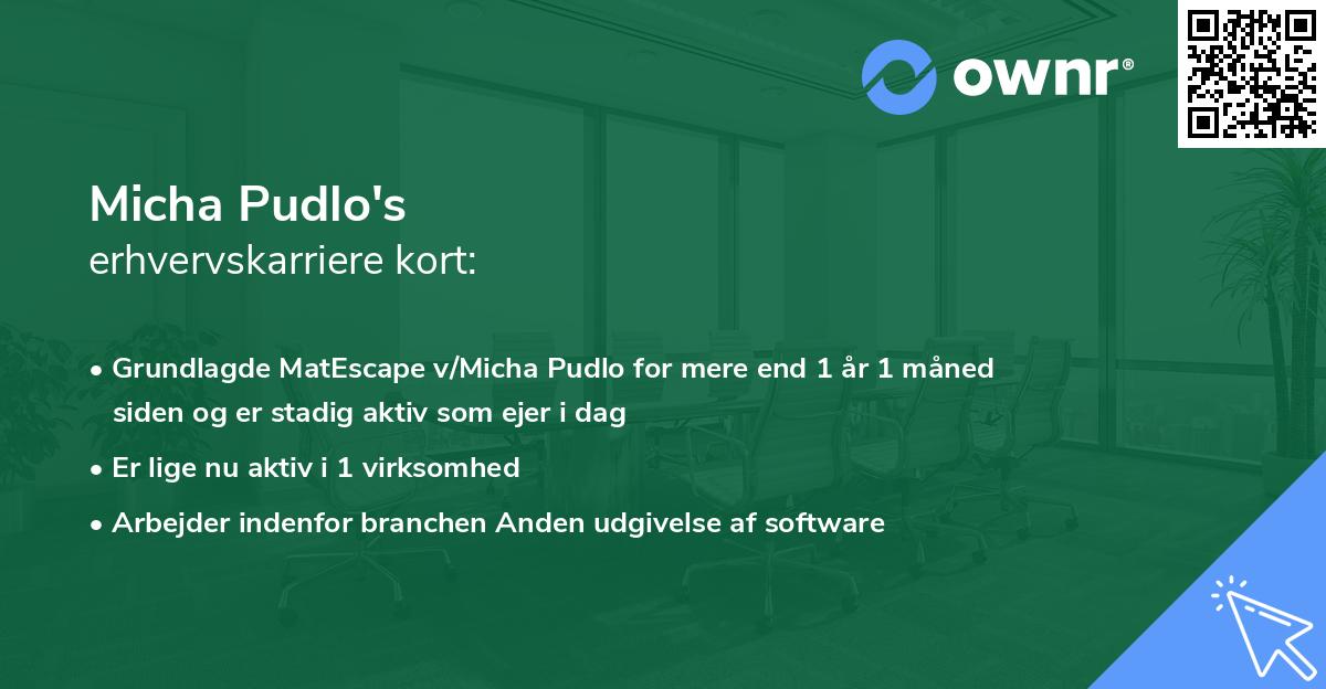 Micha Pudlo's erhvervskarriere kort