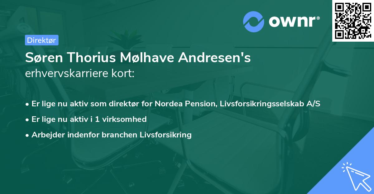 Søren Thorius Mølhave Andresen's erhvervskarriere kort