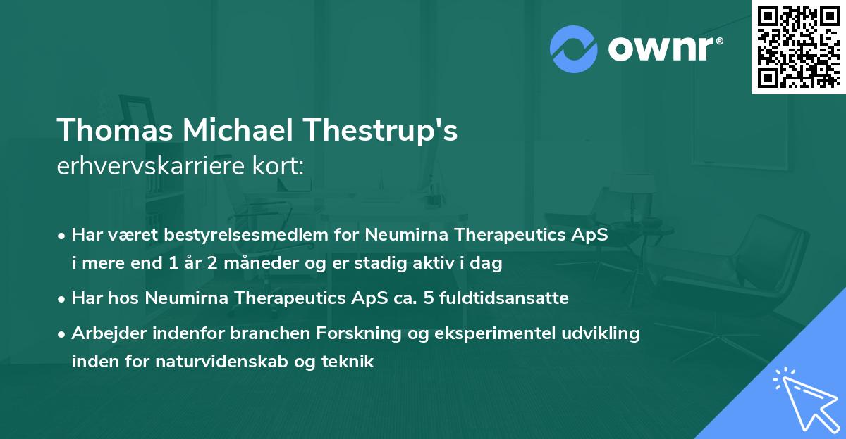 Thomas Michael Thestrup's erhvervskarriere kort