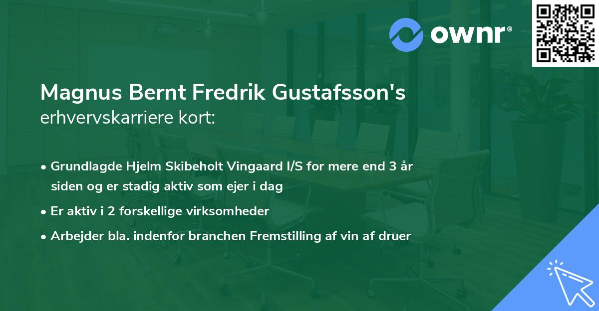 Magnus Bernt Fredrik Gustafsson's erhvervskarriere kort
