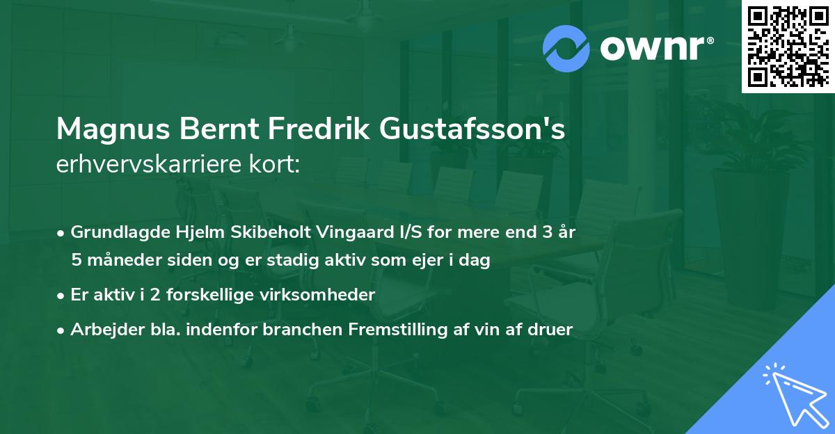 Magnus Bernt Fredrik Gustafsson's erhvervskarriere kort
