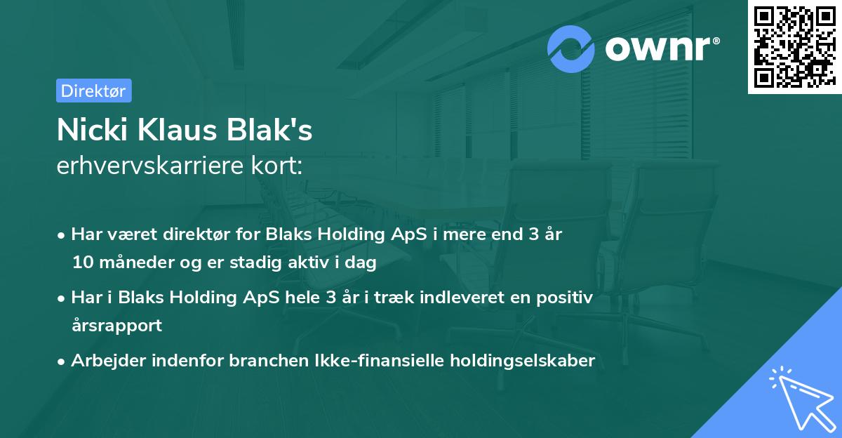 Nicki Klaus Blak's erhvervskarriere kort