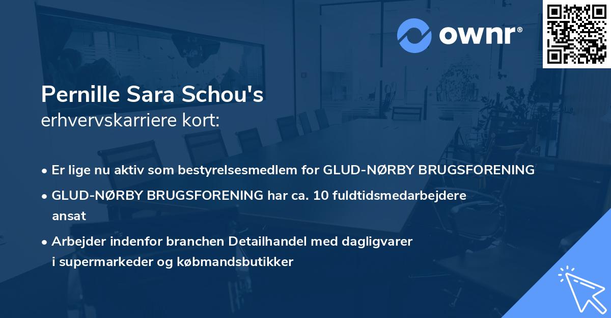 Pernille Sara Schou's erhvervskarriere kort