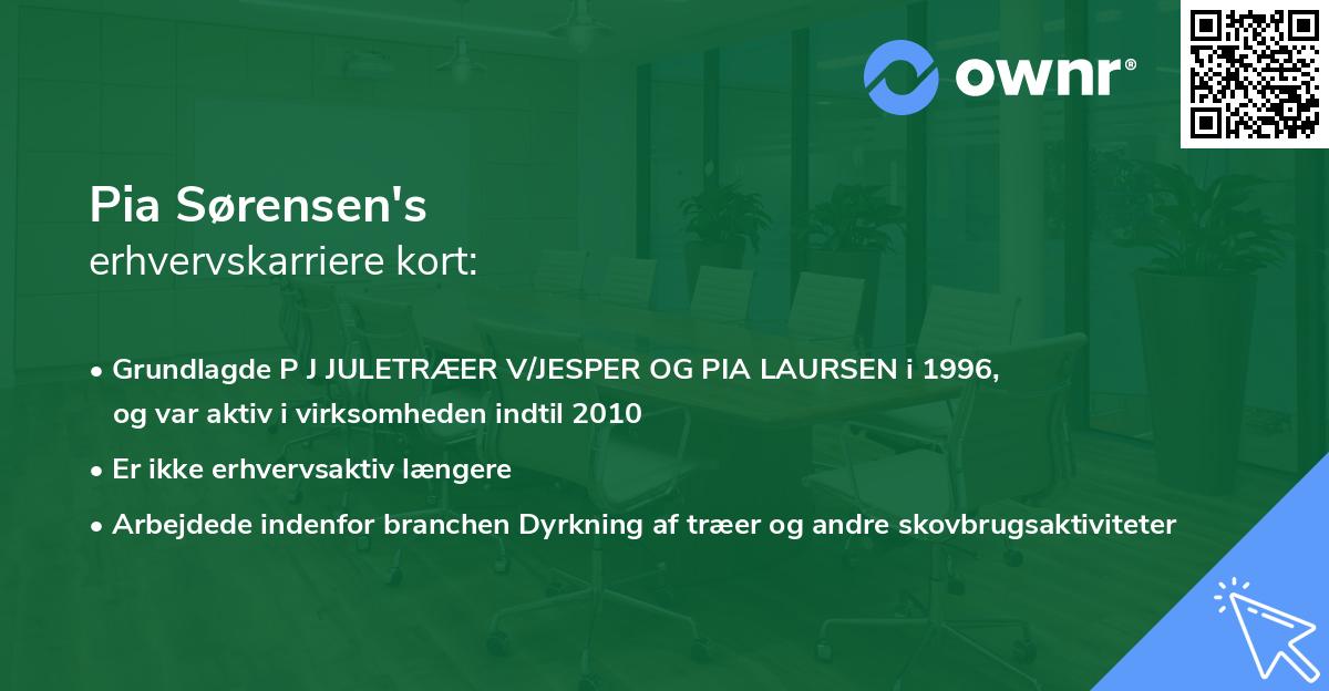 Pia Sørensen's erhvervskarriere kort