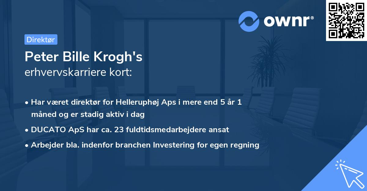 Peter Bille Krogh's erhvervskarriere kort