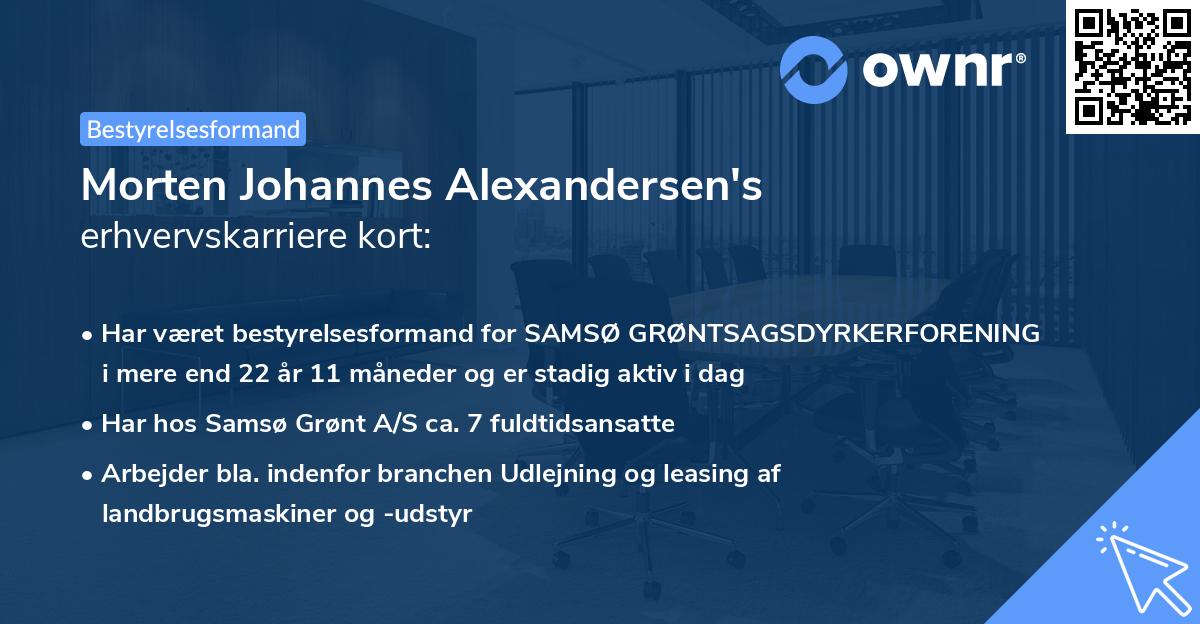 Morten Johannes Alexandersen's erhvervskarriere kort