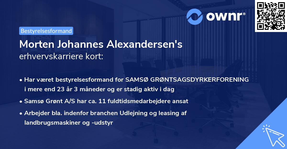 Morten Johannes Alexandersen's erhvervskarriere kort