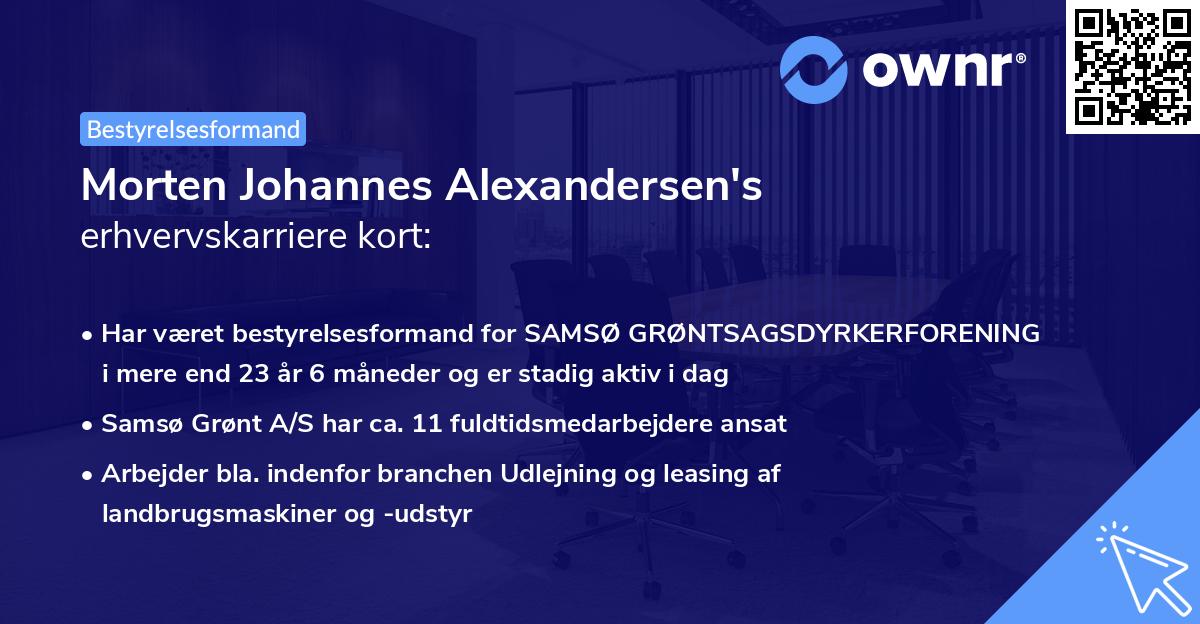 Morten Johannes Alexandersen's erhvervskarriere kort