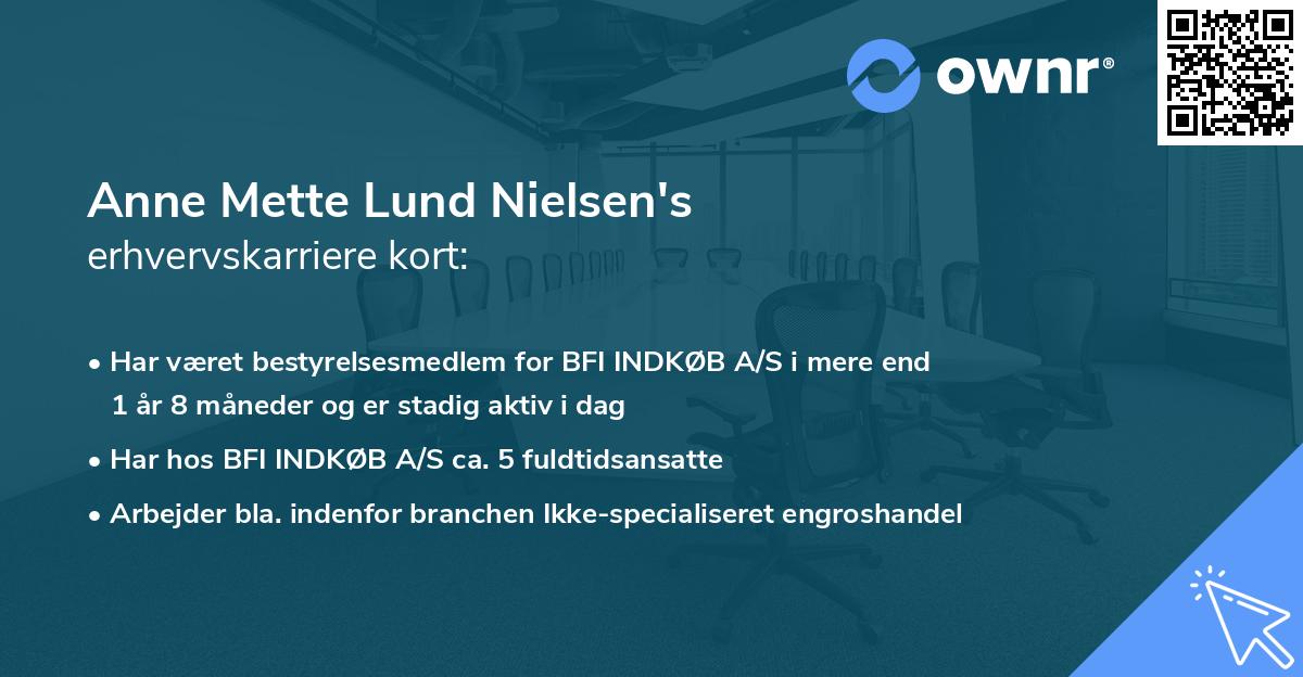 Anne Mette Lund Nielsen's erhvervskarriere kort