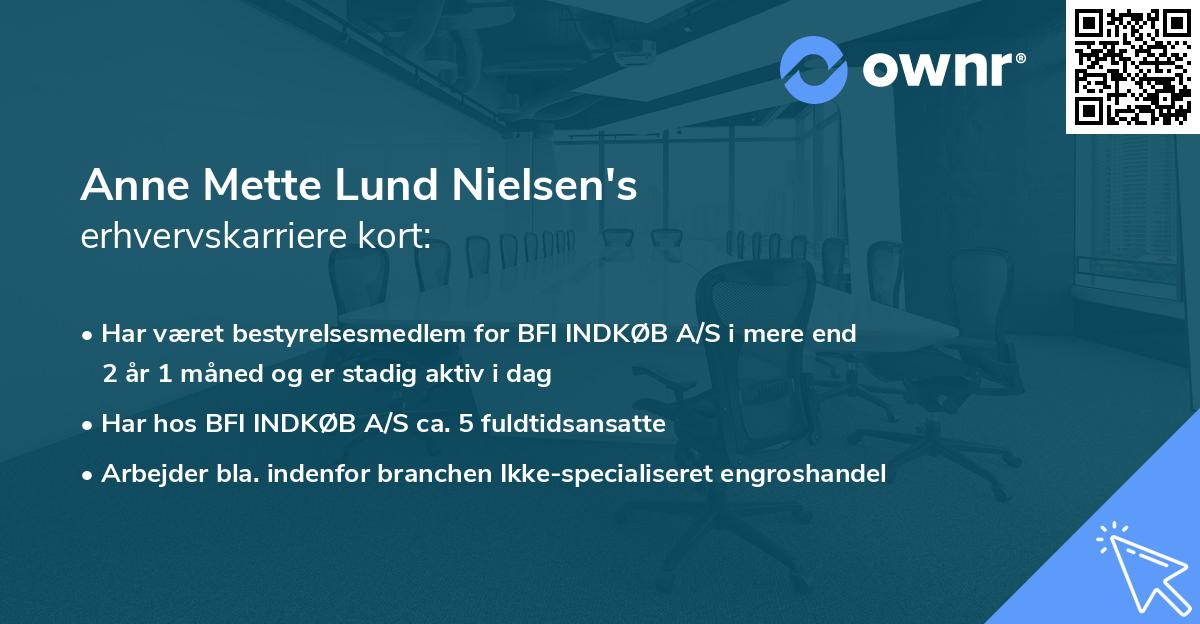 Anne Mette Lund Nielsen's erhvervskarriere kort