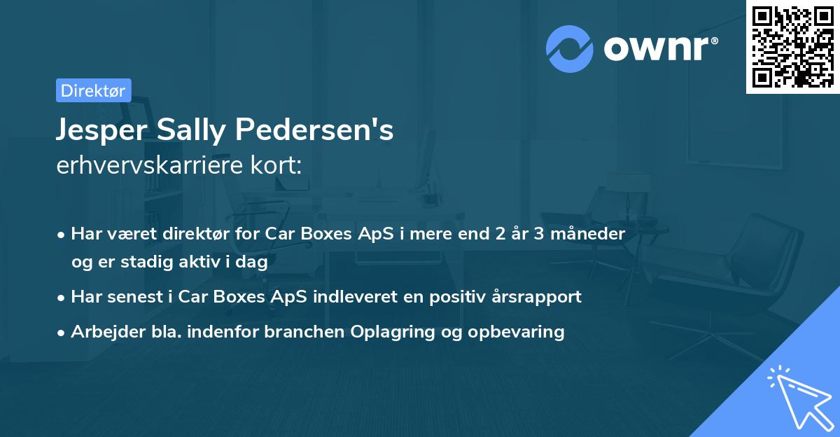 Jesper Sally Pedersen's erhvervskarriere kort