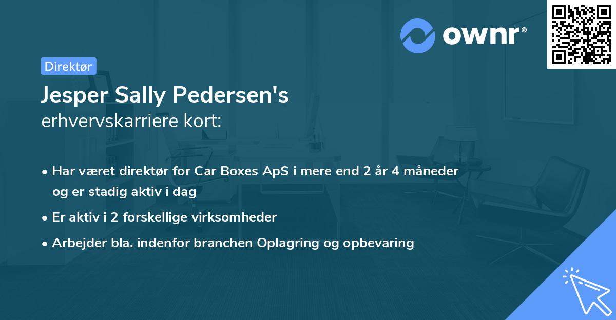 Jesper Sally Pedersen's erhvervskarriere kort