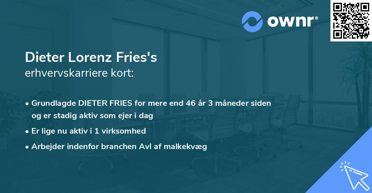 Dieter Lorenz Fries's erhvervskarriere kort