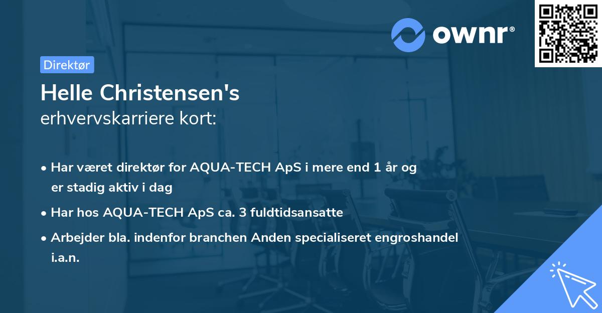 Helle Christensen's erhvervskarriere kort