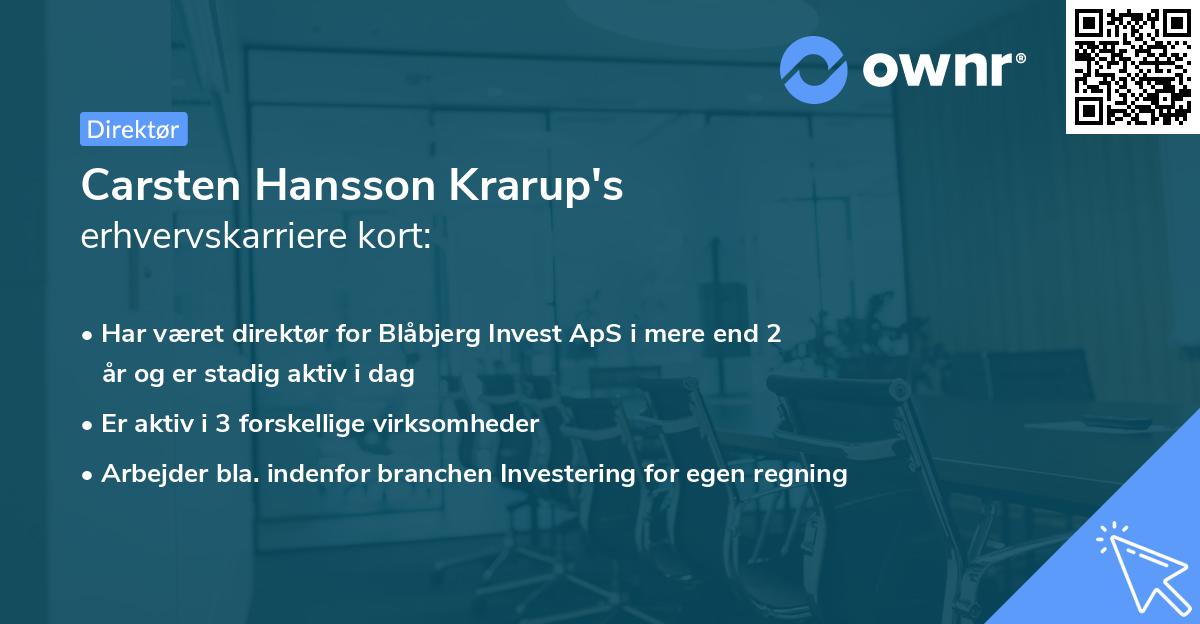 Carsten Hansson Krarup's erhvervskarriere kort