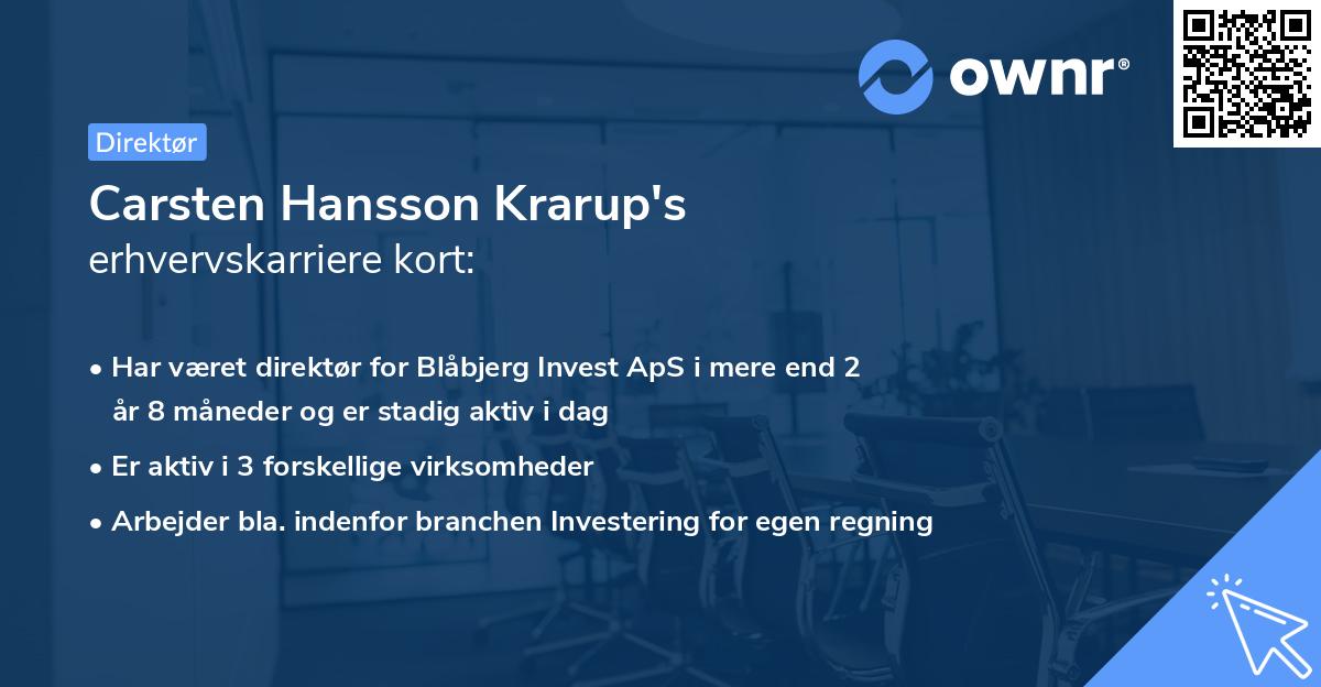 Carsten Hansson Krarup's erhvervskarriere kort