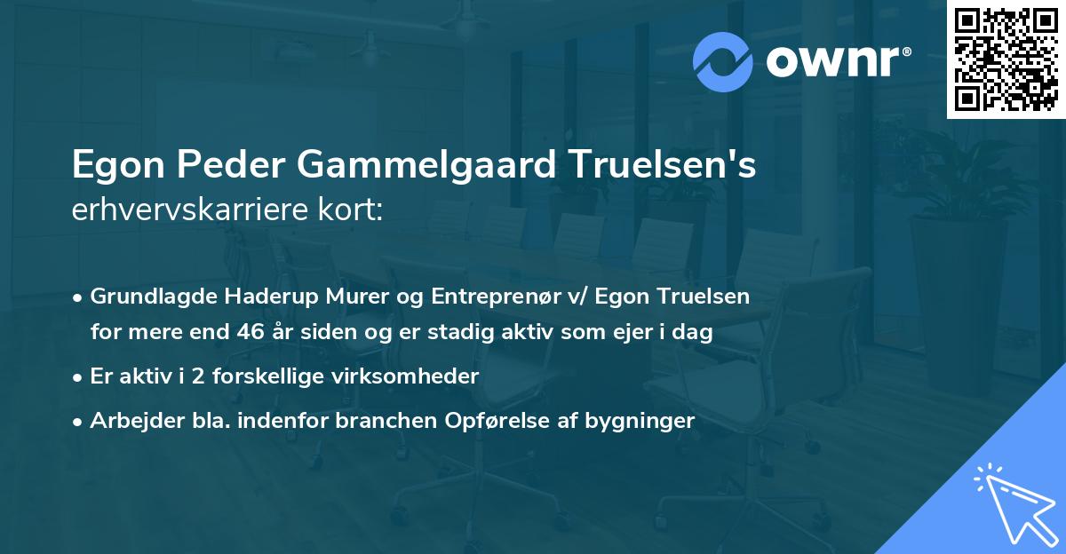 Egon Peder Gammelgaard Truelsen's erhvervskarriere kort