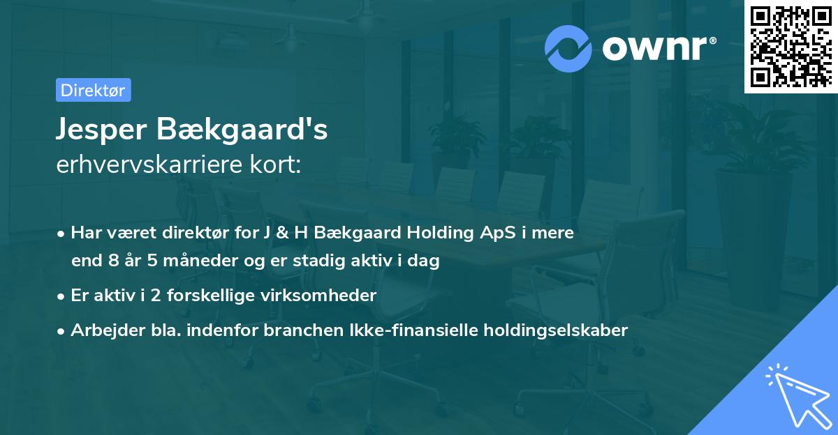 Jesper Bækgaard's erhvervskarriere kort